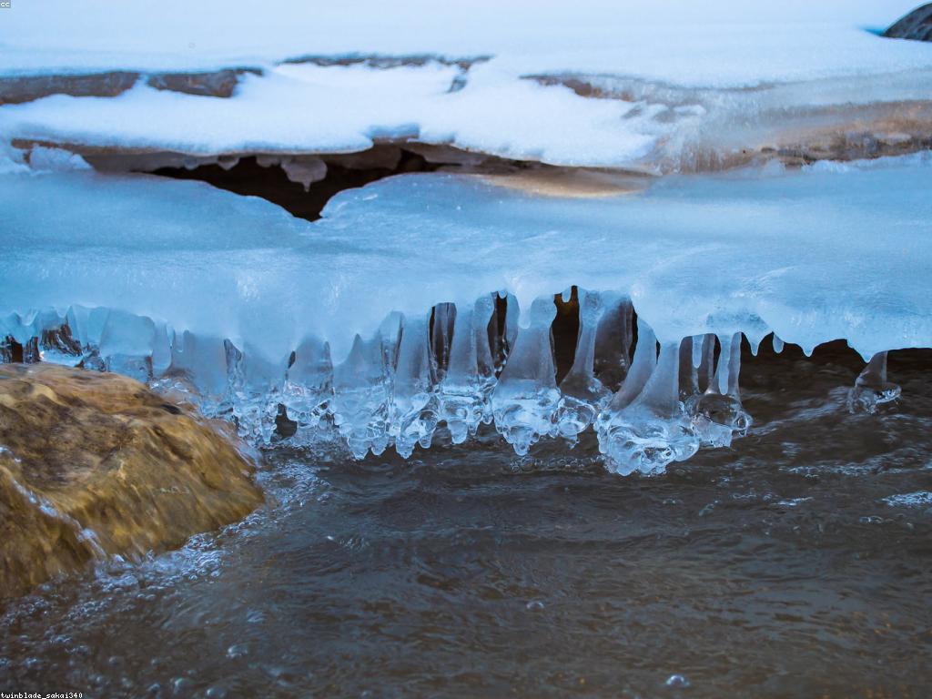 កម្មវិធីពិសេស Slot: លក្ខណៈពិសេសនិងភាពសប្បាយរីករាយក្នុងការលេង